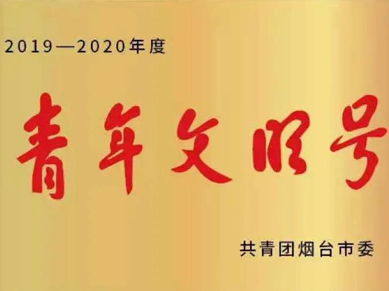 瀛偉所榮獲“2019-2020年度煙臺市青年文明號”榮譽稱號